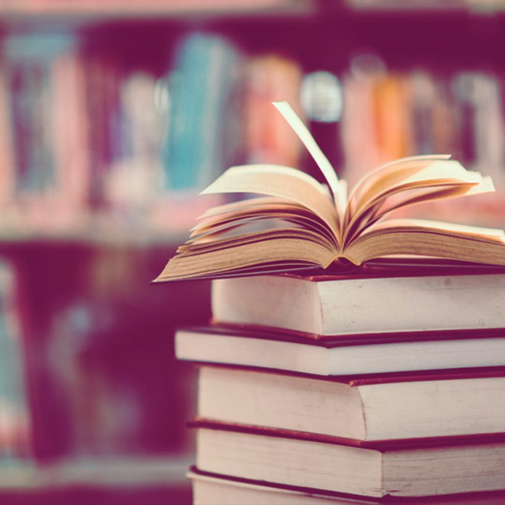La pedagogía y la inversión